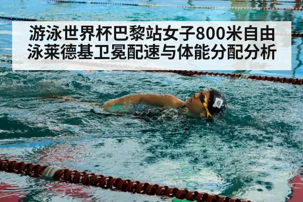 游泳世界杯巴黎站女子800米自由泳莱德基卫冕配速与体能分配分析
