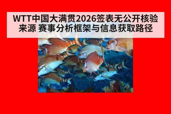 WTT中国大满贯2026签表无公开核验来源 赛事分析框架与信息获取路径