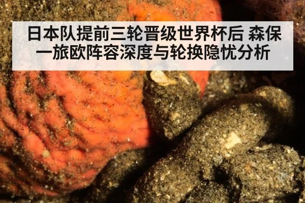 日本队提前三轮晋级世界杯后 森保一旅欧阵容深度与轮换隐忧分析